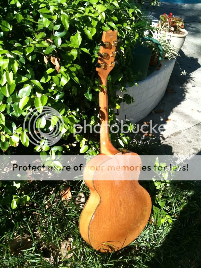 025.jpg?t=1299633127