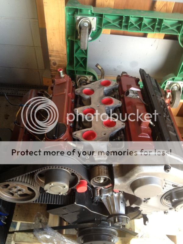  photo 2993F091-A225-437F-8990-7FDC9EC4A973-1199-000003AD4ABAA3A8_zps6fc31ace.jpg