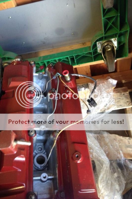  photo 9CA33157-3501-4928-95F7-CC02826EC00F-855-000002BB397362AD_zps8a7d1923.jpg