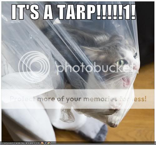 Click image to see full size (opens in this window) İmage