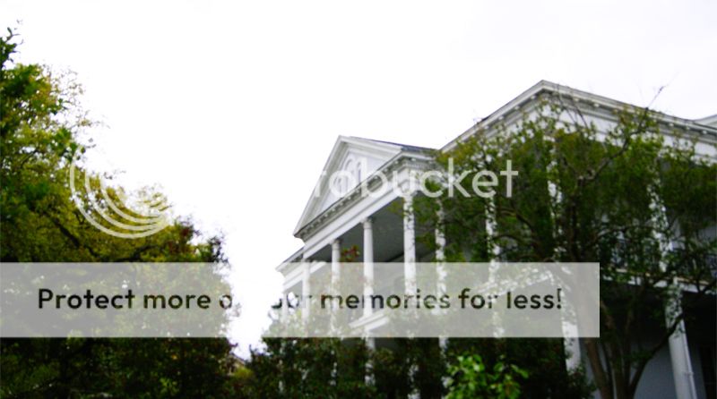 photo nola6_zps0fd26f3b.jpg