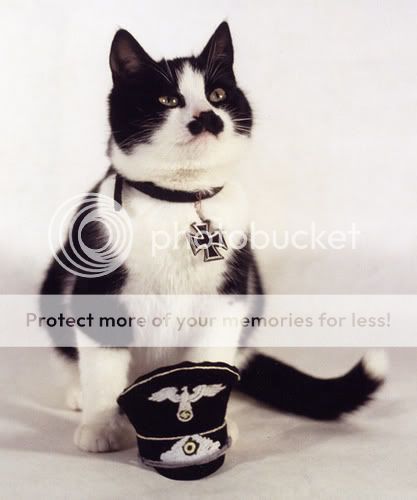 hitler-cat.jpg