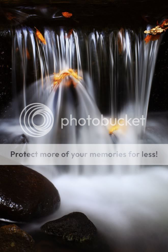 LatestWorksOfPhotographerNestR25.jpg