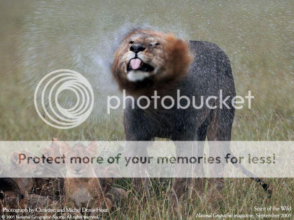 NationalGeographic209.jpg