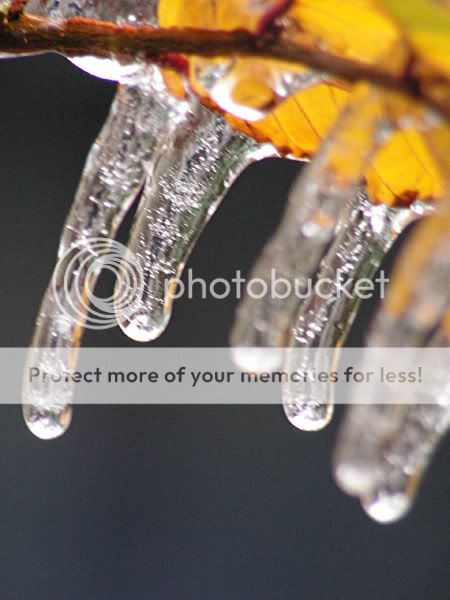 karenmoen-icestorm11.jpg