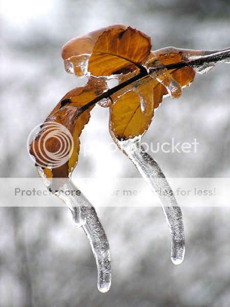 karenmoen-icestorm9.jpg
