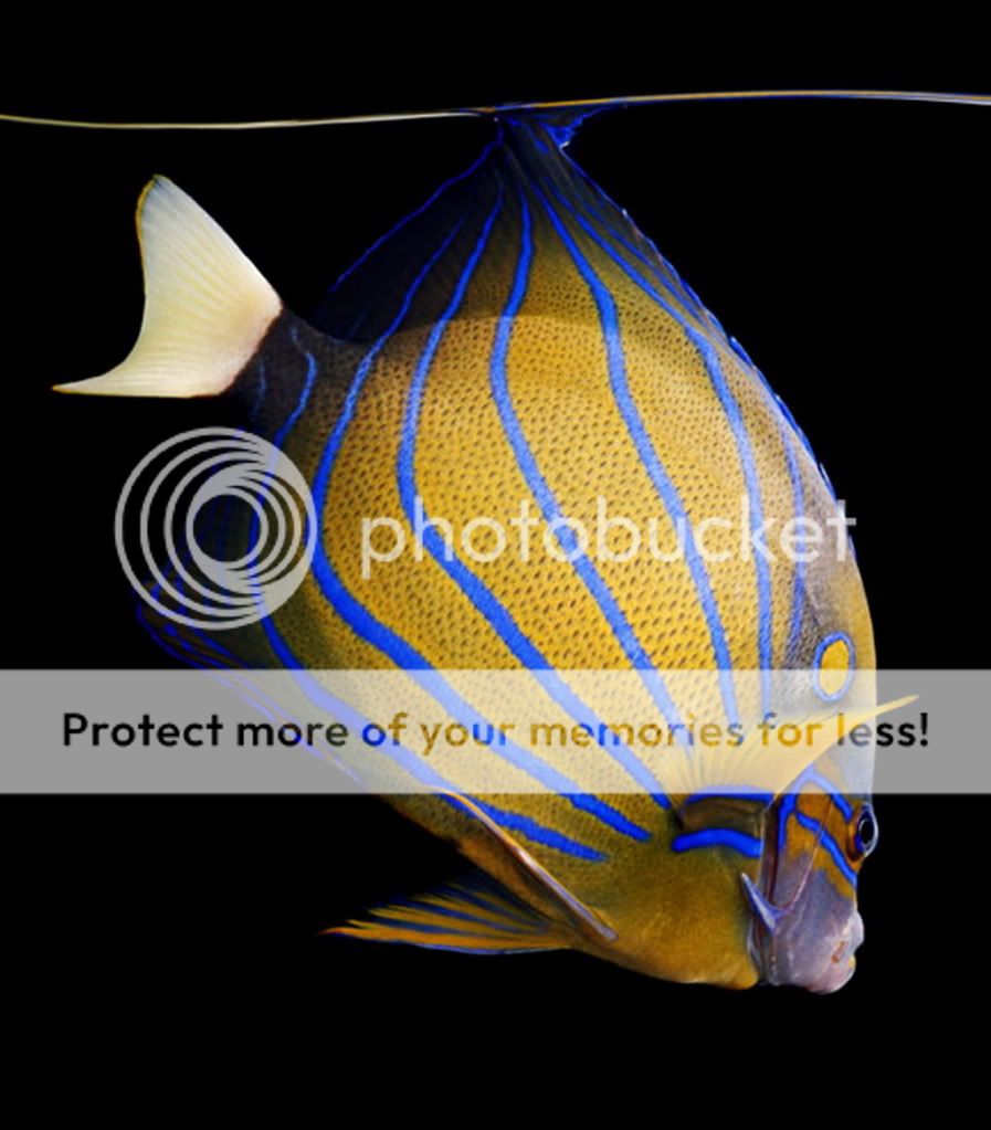 mark_laita_photo_06.jpg