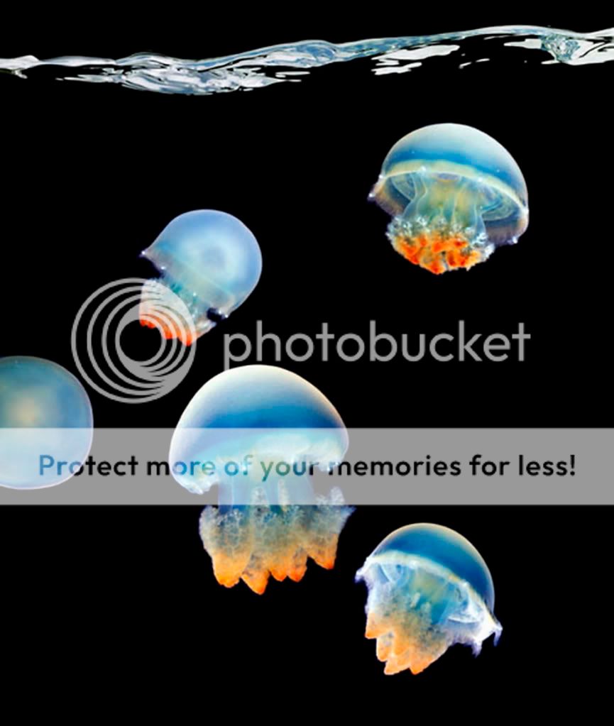 mark_laita_photo_12.jpg