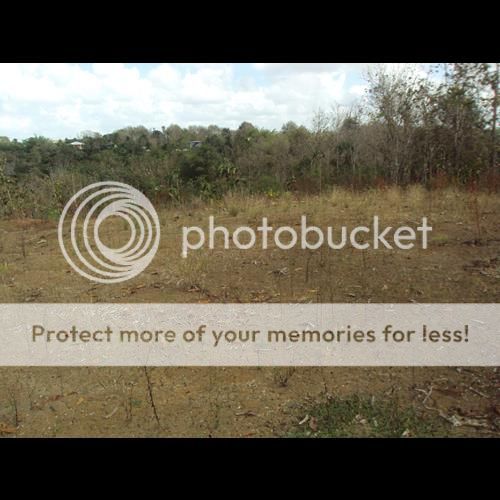 Residential Land For Sale in Trinidad & Tobago www.Fair Deal Real