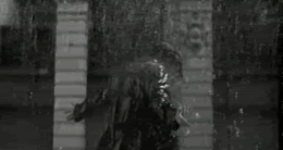 2m6ws53.gif