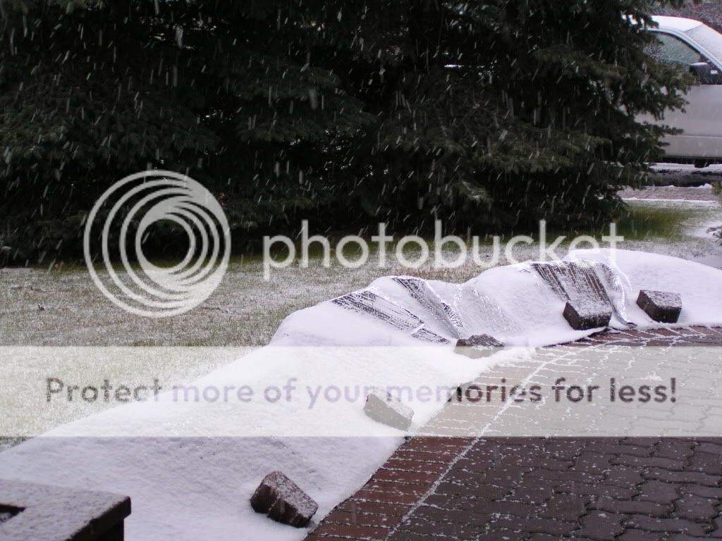 winter outside protection