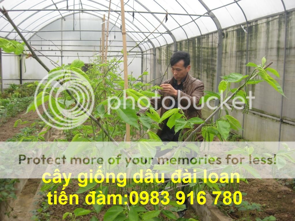 20130412568503201_zpsc9bbaab0.jpg 20130412568503201_zpsc9bbaab0.jpg