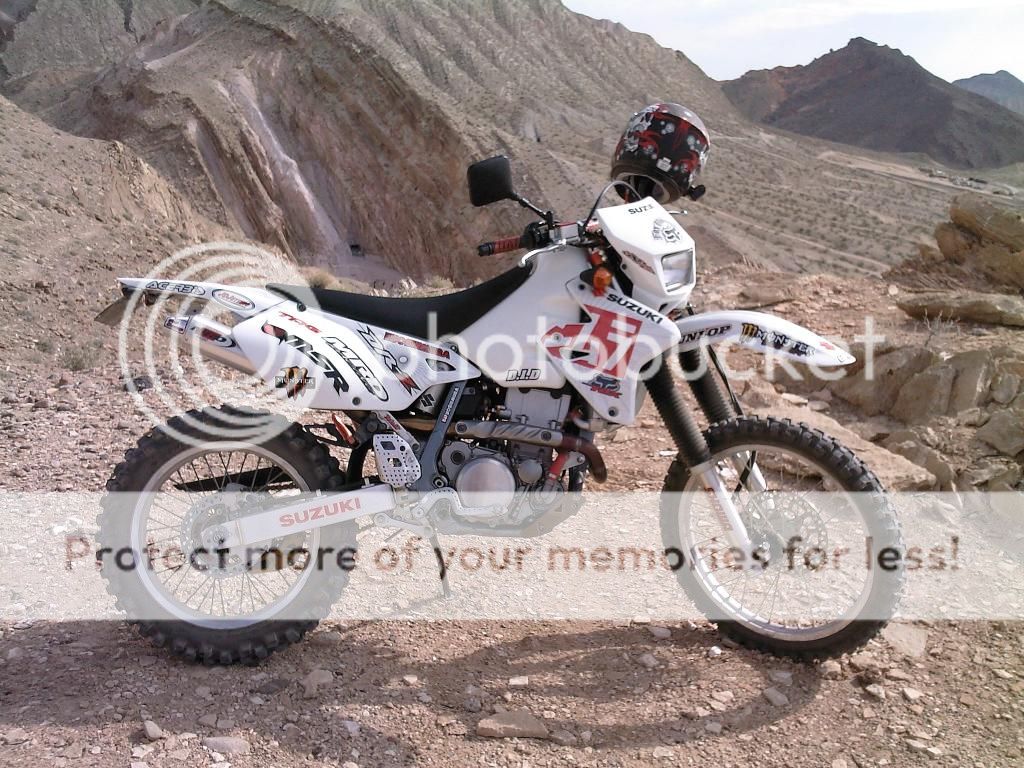 Posted Image