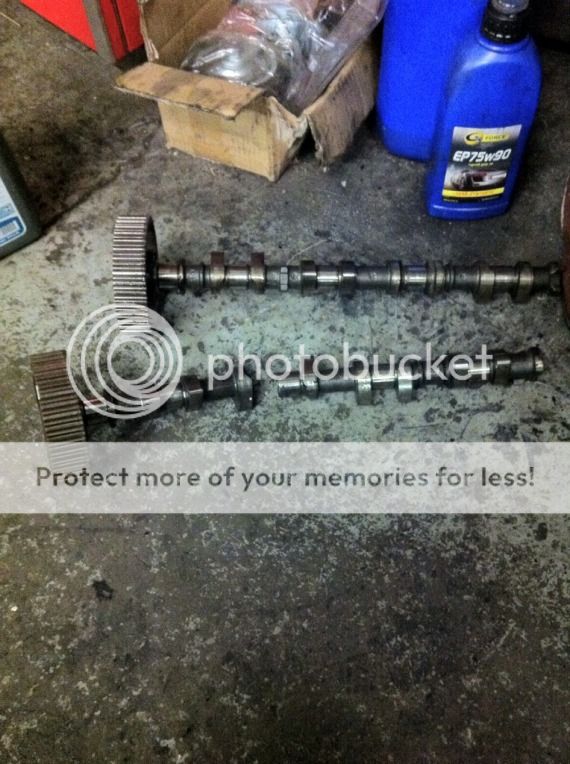 Posted Image