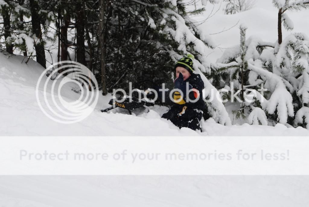 photo taumlaumlki.jpg