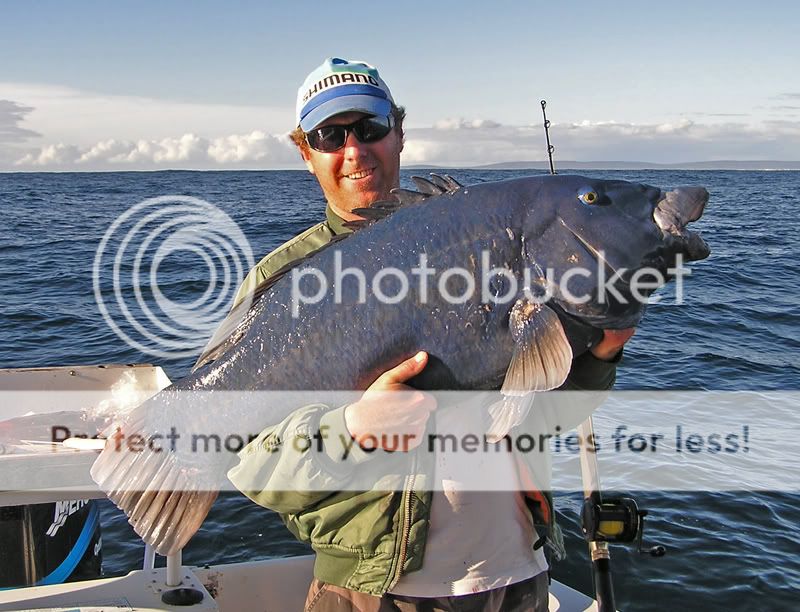 Big Blue | Fishing - Fishwrecked.com - Fishing WA. Fishing Photos & Videos